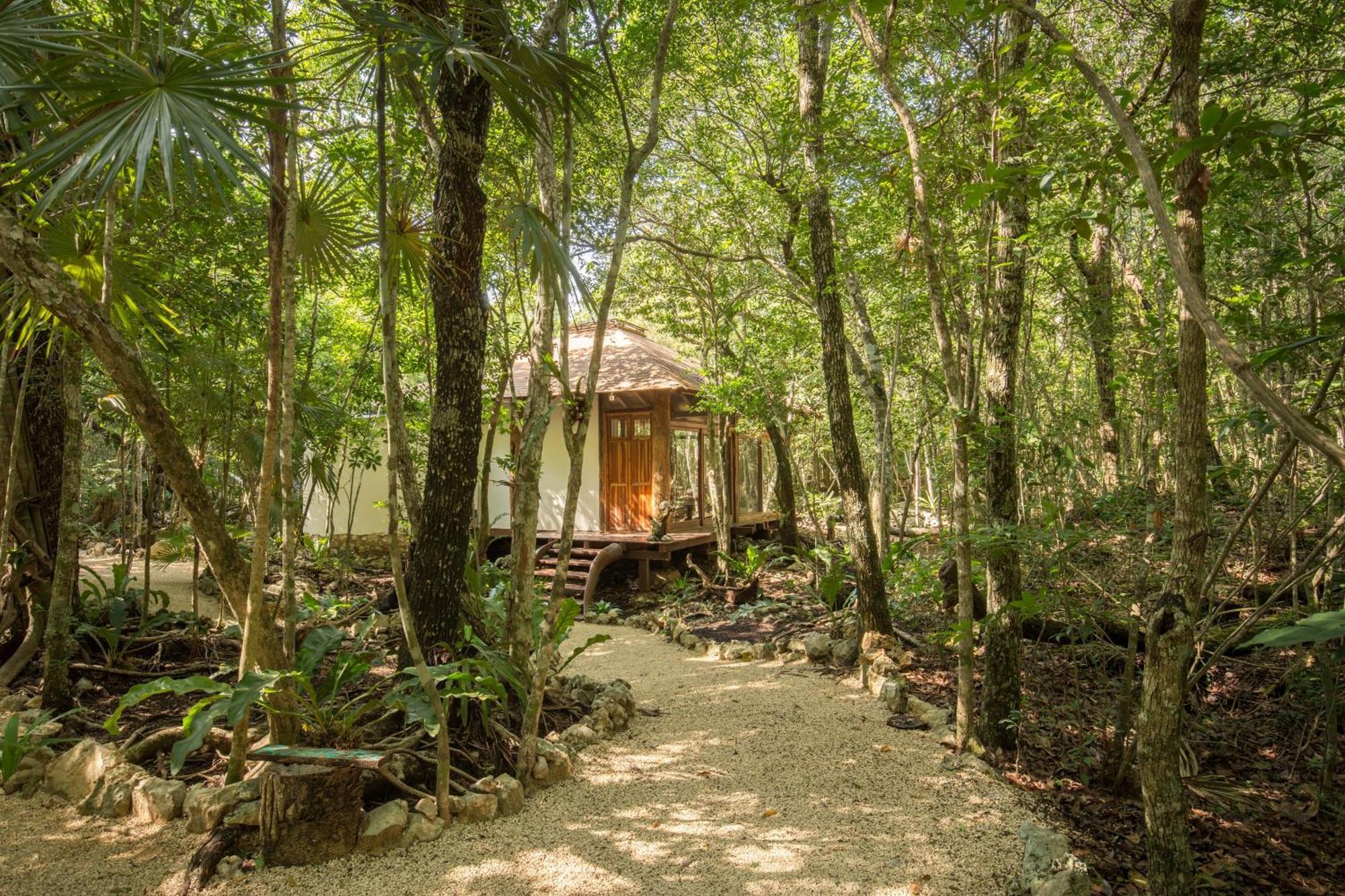 הוילה Pepem Holistic Experience - Peaceful Retreat Near Tulum (Adults Only) מראה חיצוני תמונה