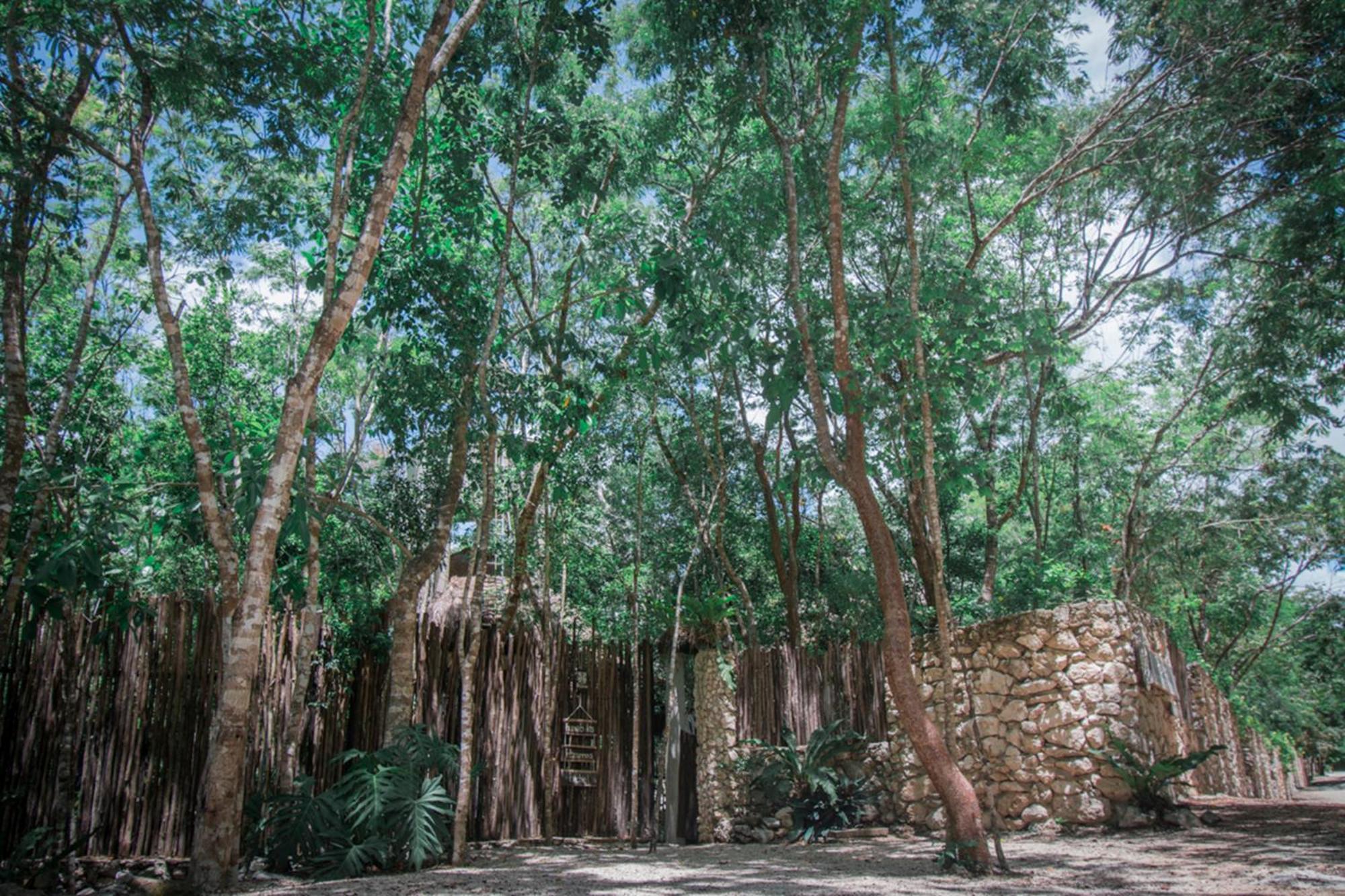 הוילה Pepem Holistic Experience - Peaceful Retreat Near Tulum (Adults Only) מראה חיצוני תמונה