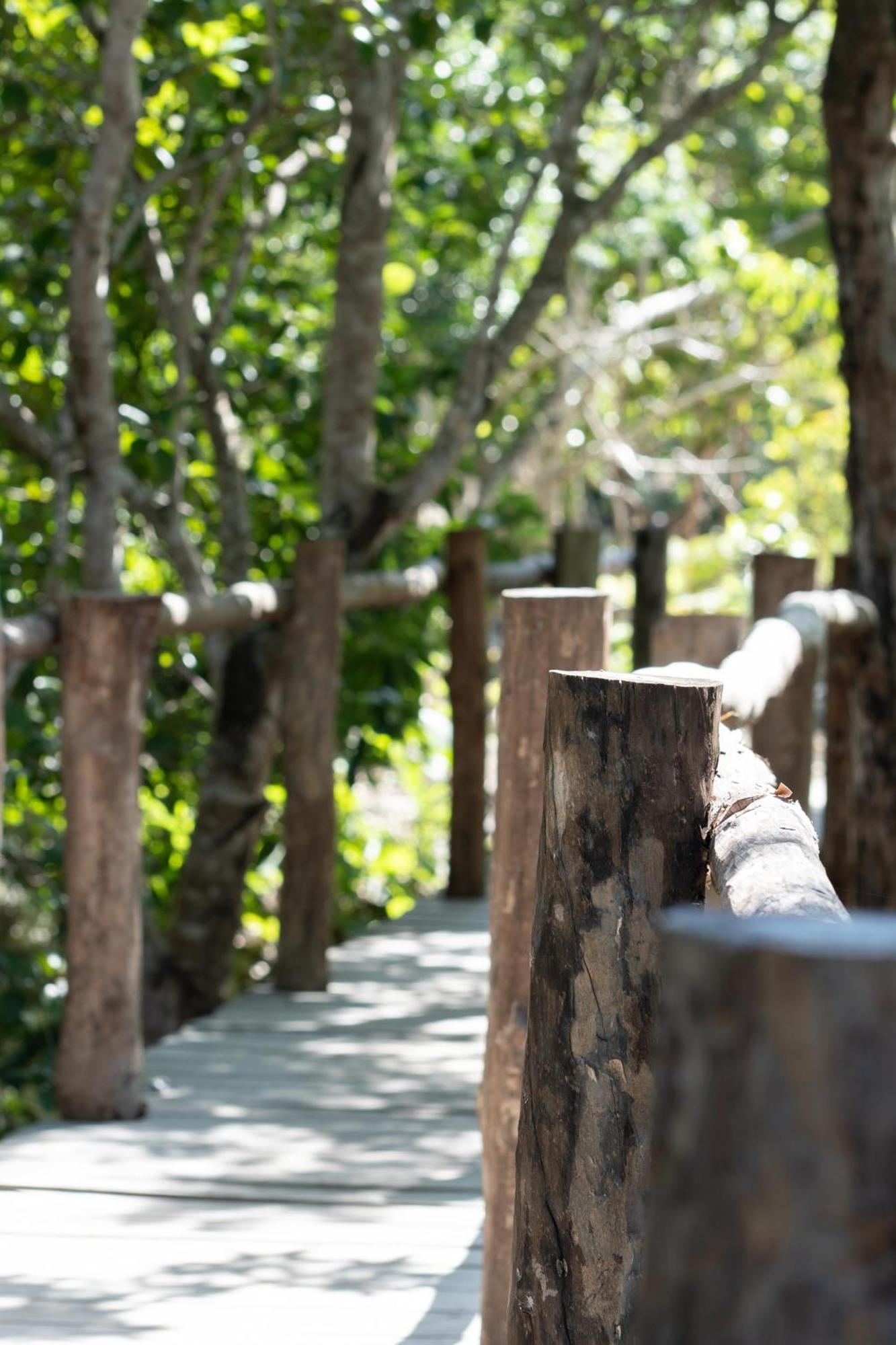 הוילה Pepem Holistic Experience - Peaceful Retreat Near Tulum (Adults Only) מראה חיצוני תמונה