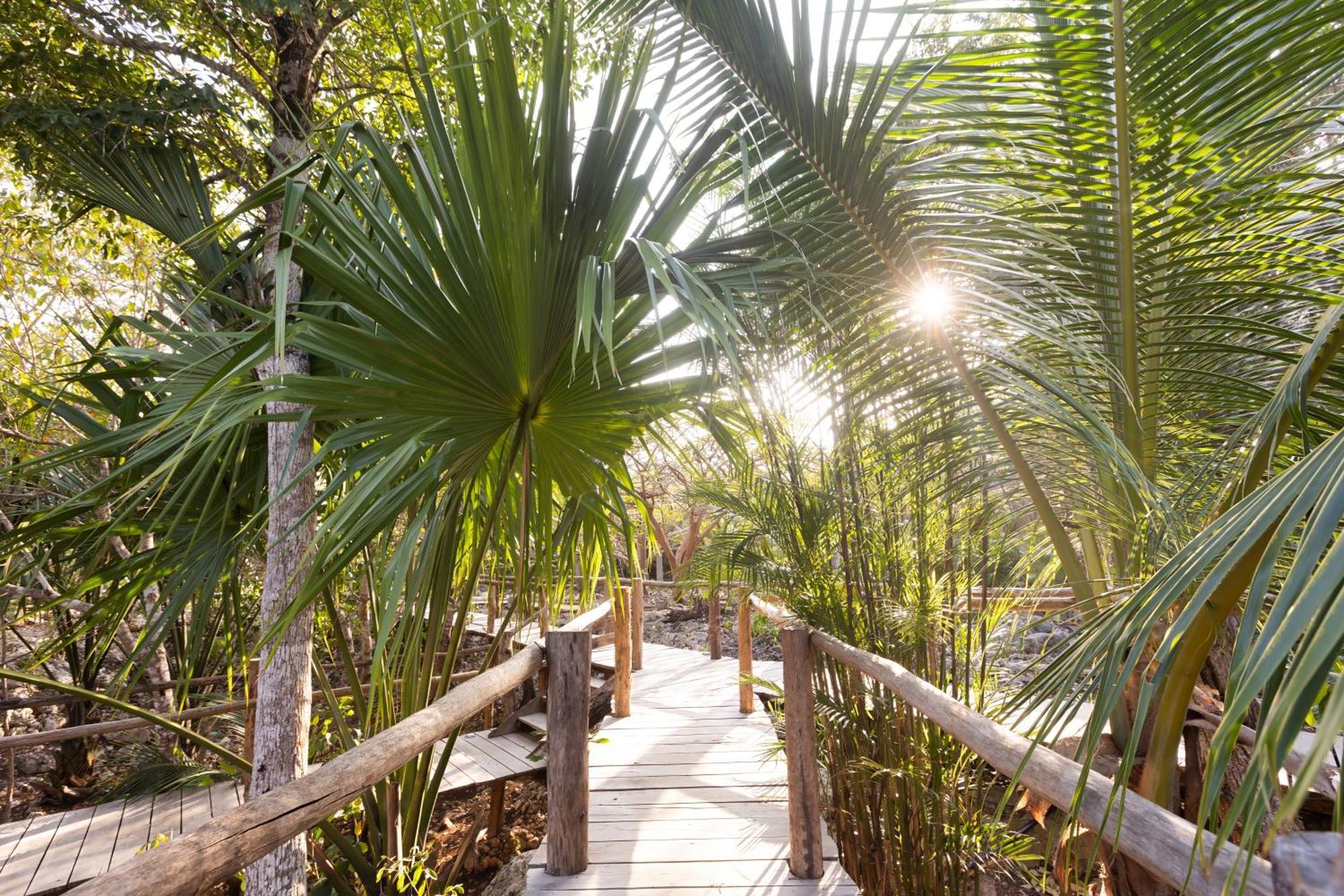 הוילה Pepem Holistic Experience - Peaceful Retreat Near Tulum (Adults Only) מראה חיצוני תמונה